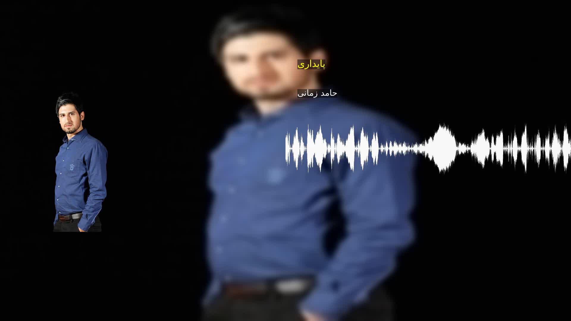 دانلود پایداری حامد زمانی