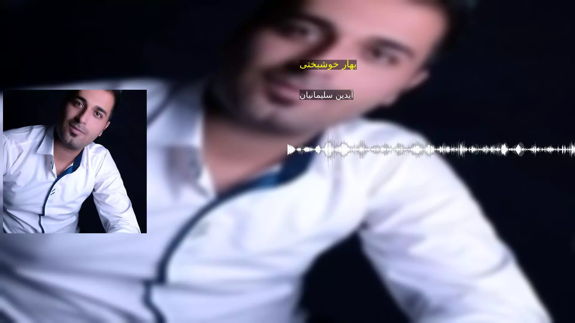 بهار خوشبختی آیدین سلیمانیان