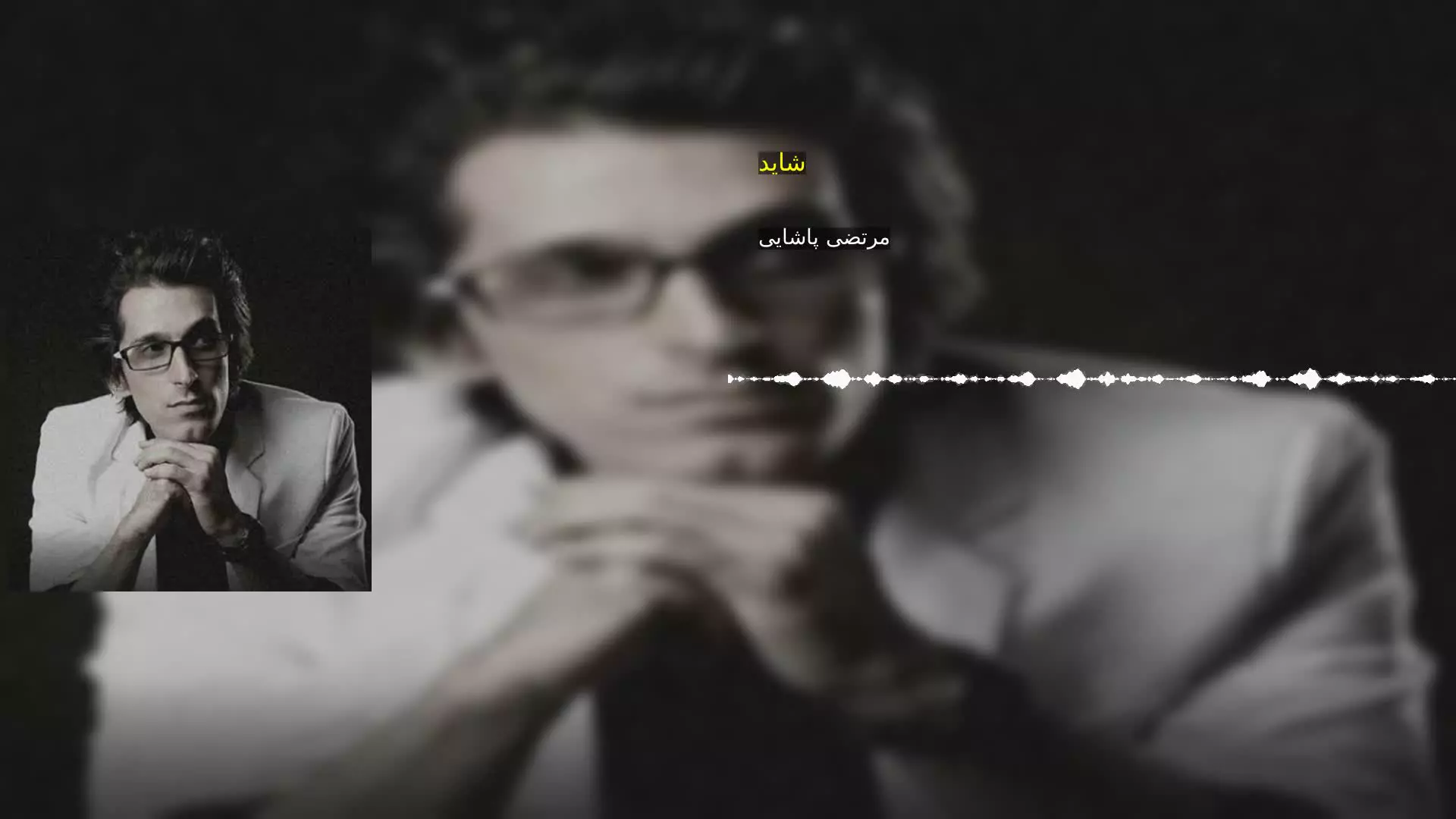 شاید مرتضی پاشایی