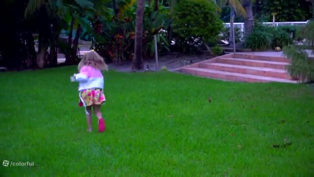 ناستیا و استیسی