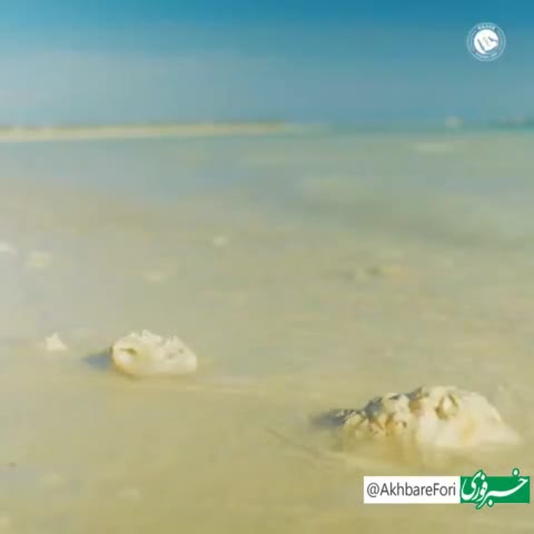   ویدئو باشگاه النصر به مناسبت تمدید قرارداد کریستیانو رونالدو