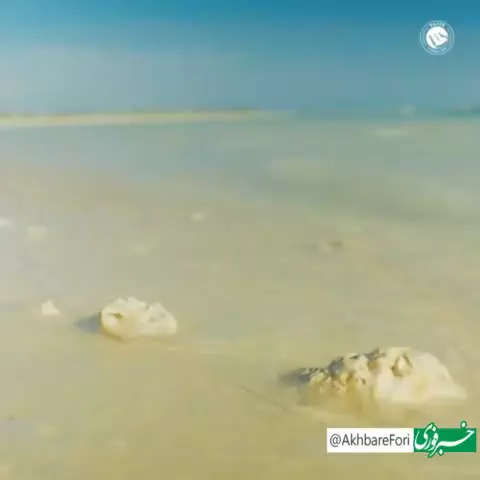   ویدئو باشگاه النصر به مناسبت تمدید قرارداد کریستیانو رونالدو