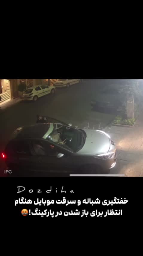   خفتگیری و دزدی خشن در اطراف میدان هروی تهران