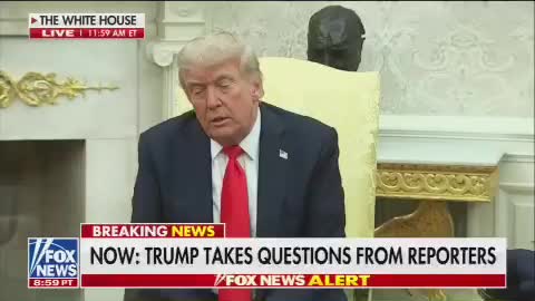   اولین واکنش ترامپ به انتقادات تند ایلان ماسک