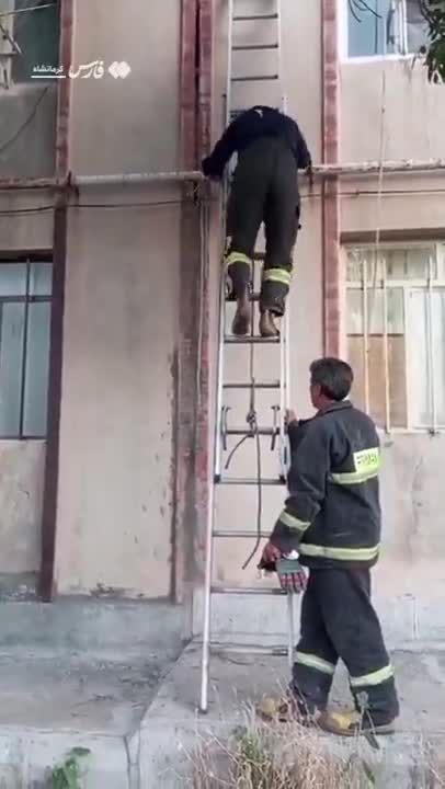   نجات پرستوی گرفتار از دل دیوار توسط آتش‌نشانان کرمانشاهی