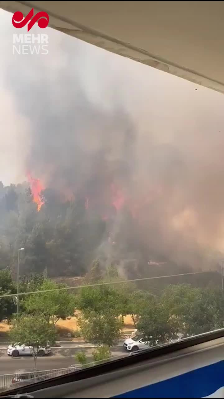   آتش‌سوزی گسترده در جنگل «کارمیت» در اسرائیل؛ دستور تخلیه صادر شد
