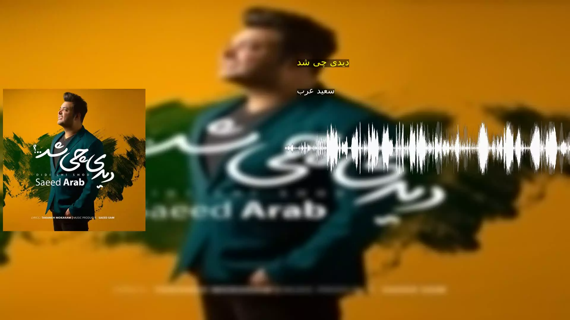 دیدی چی شد سعید عرب