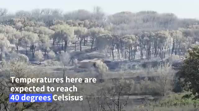   آتش‌سوزی جنگل‌های فرانسه همزمان با موج گرما در جنوب اروپا