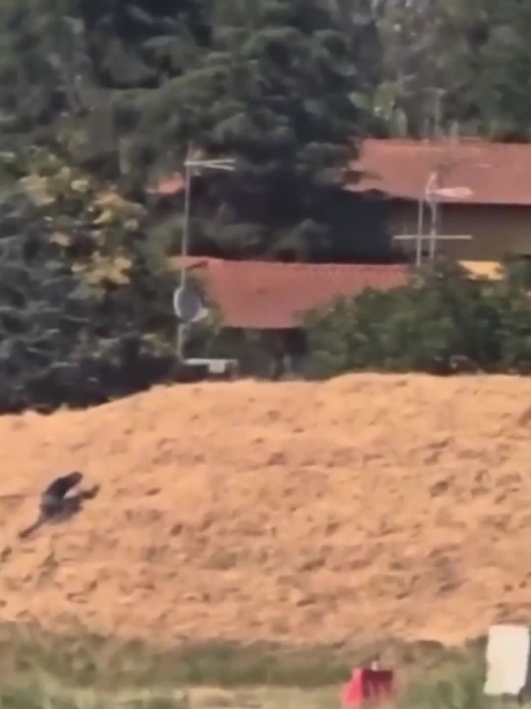   لحظه فرار مرد  ۲۹ ساله از دست پلیس روی باند فرودگاه!