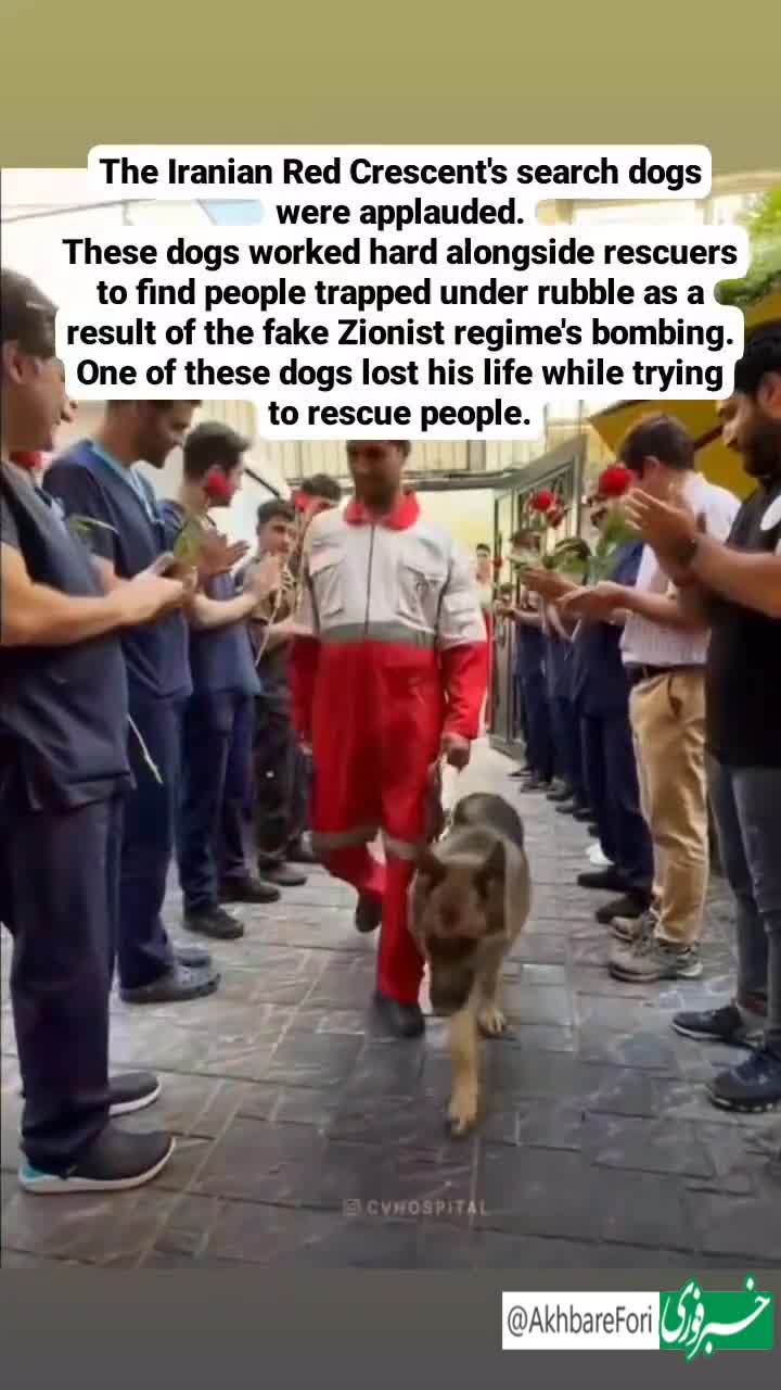   تقدیر مردم ایران از سگ‌های زنده‌یاب هلال احمر