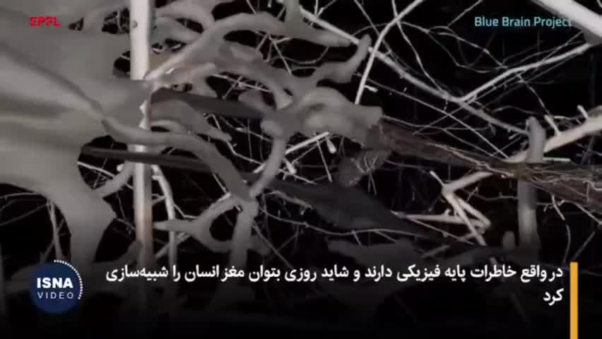   آیا امکان بازیابی خاطرات مغز انسان پس از مرگ وجود دارد؟