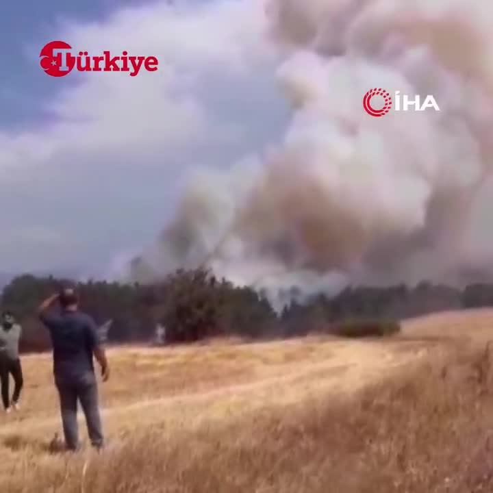   آتش در دل جنگل‌های ترکیه