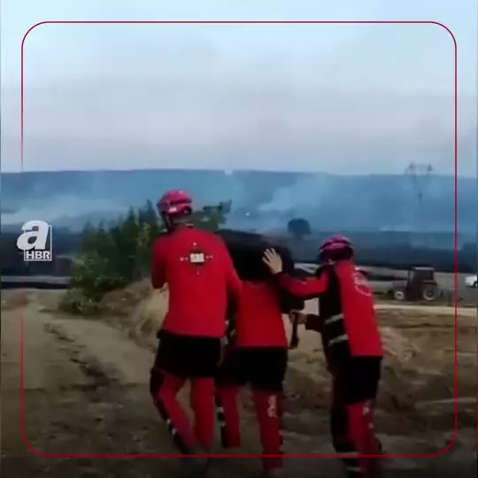   نجات گوسفند گرفتار مانده در آتش