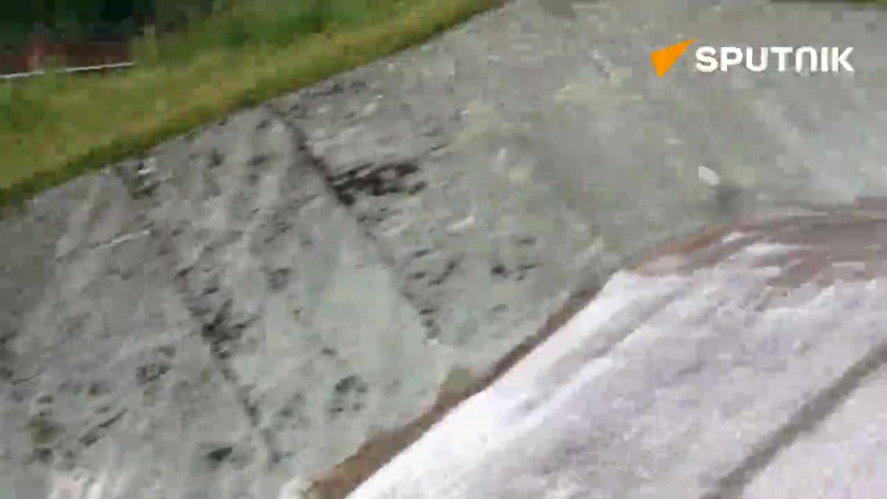   نجات دو گوزن گیر افتاده در مخزن آبی در حومه مسکو