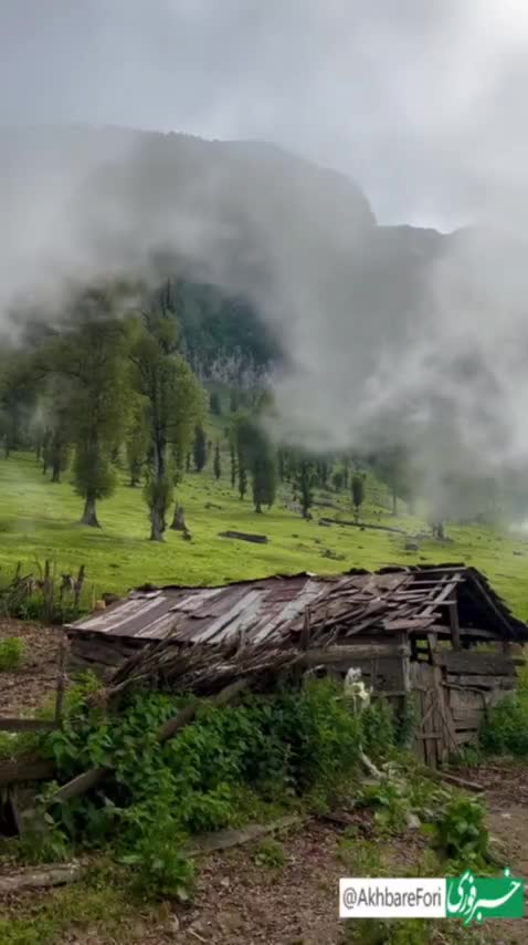   لحظۀ زیبای ورود مِه به ییلاقات گیلان