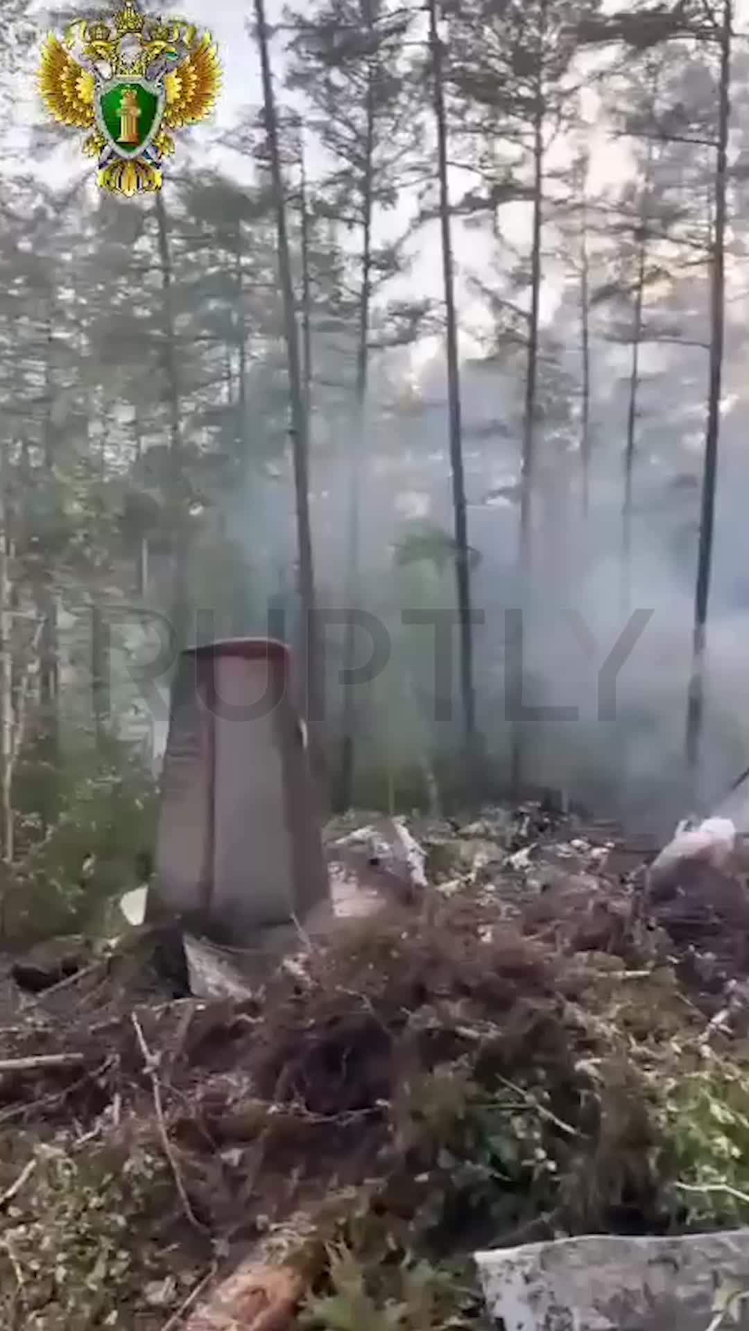   فیلمی تازه از محل سقوط هواپیمای آنتونوف-۲۴