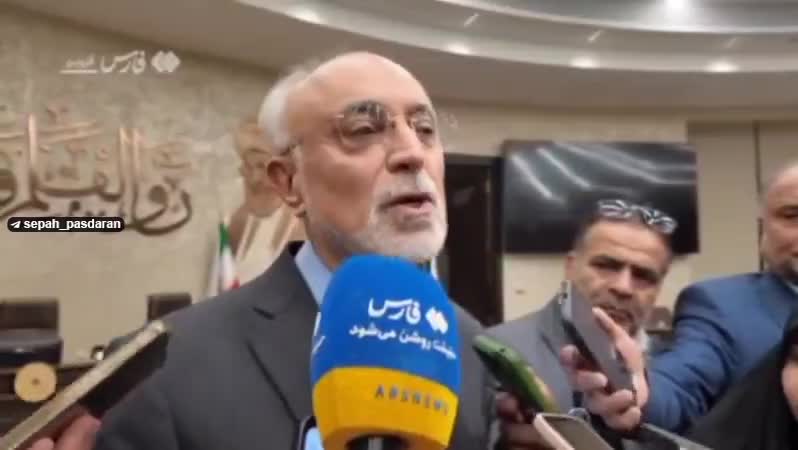    صالحی: دانش و صنعت هسته‌ای در ایران ریشه دوانده است