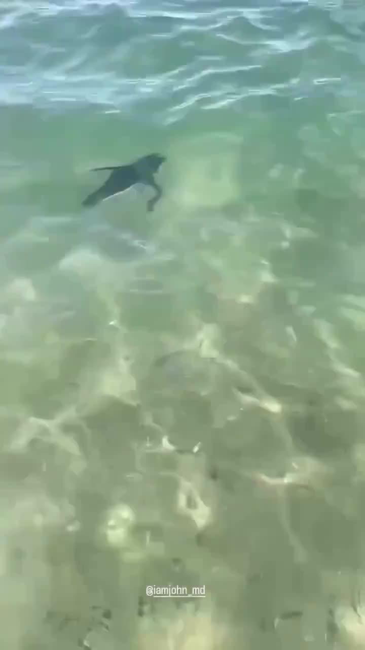   اولین تصاویر از انفجار مهیب در اربیل عراق