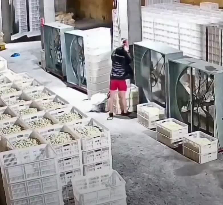 برخورد پنکه بزرگ به یک دختر چینی هنگام کار | 8 مرداد 1404