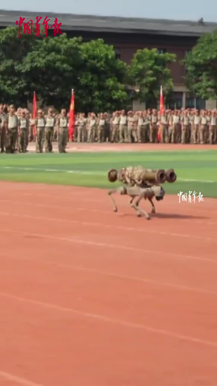   ساخت یک سگ رباتیک موشک‌زن با قدرت شلیک بالا
