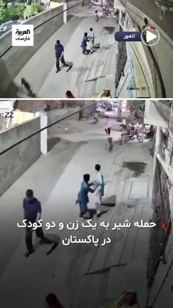 ببینید| فیلم هولناک حمله یک شیر فراری به یک زن و دو کودک | 15 تیر 1404