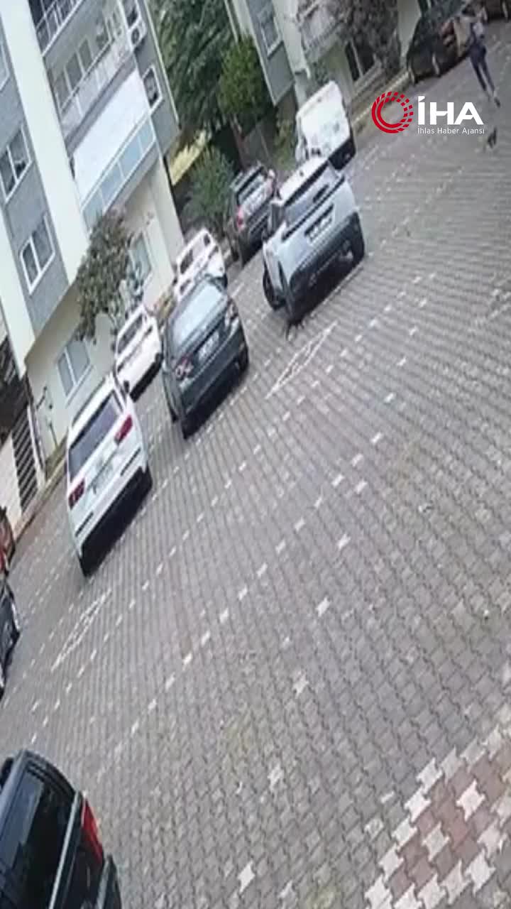   فرار عجیب دختر جوان وسط خیابان؛ چه حیوانی باعث وحشت دختر جوان شد؟