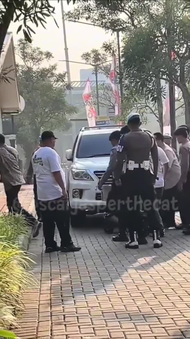   تدابیر ویژه برای گربه رئیس جمهور اندونزی