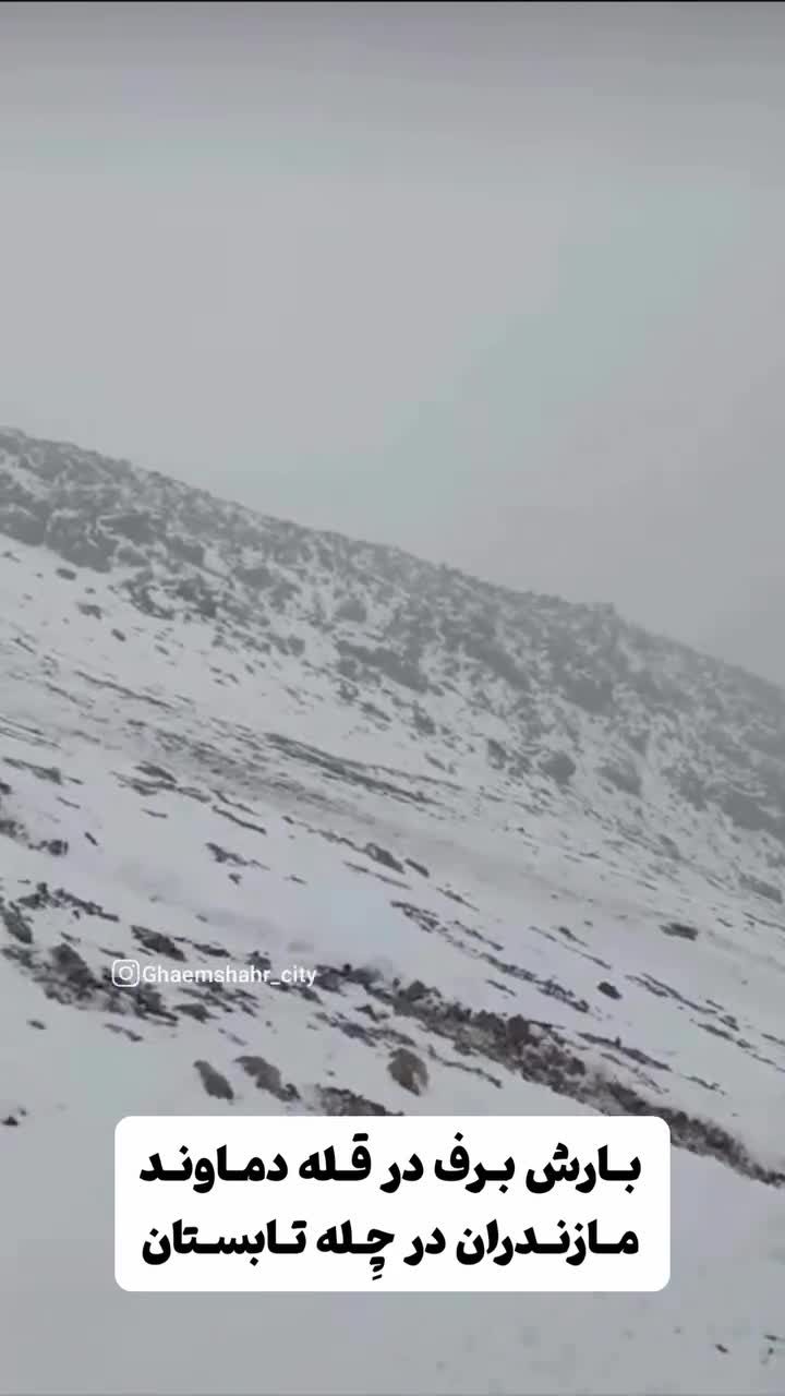   بارش برف و سرما در این نقطه از کشور