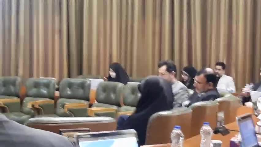  عضو شورای شهر تهران:حضور شهرداری تهران در حوزه تاکسی اینترنتی تعارض منافع است