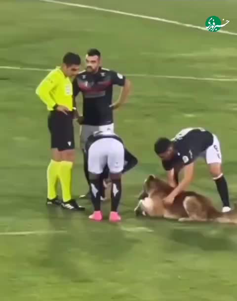   توقف مسابقه برای یک جیمی جامپ خاص؛ رضایت جالب جیمی‌جامپ بعد از قرار گرفتن در آغوش بازیکنان!