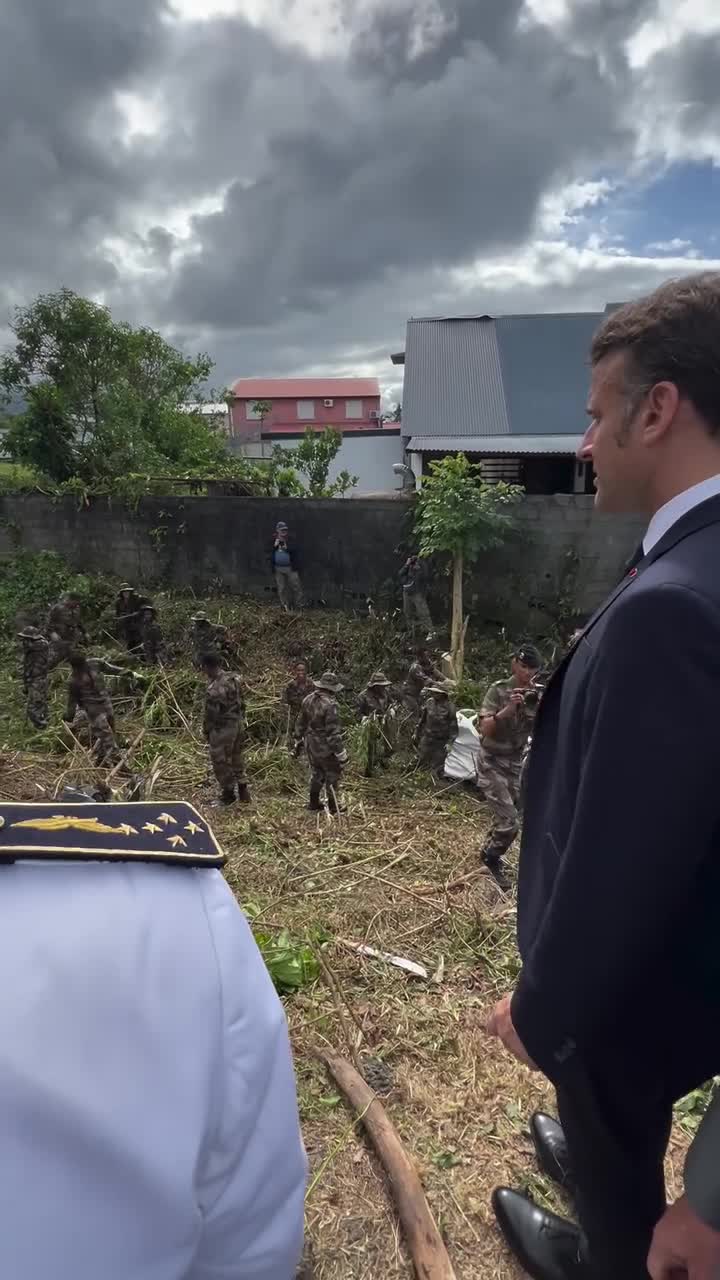    آمادگی کامل ارتش فرانسه برای مقابله با پشه‌ها