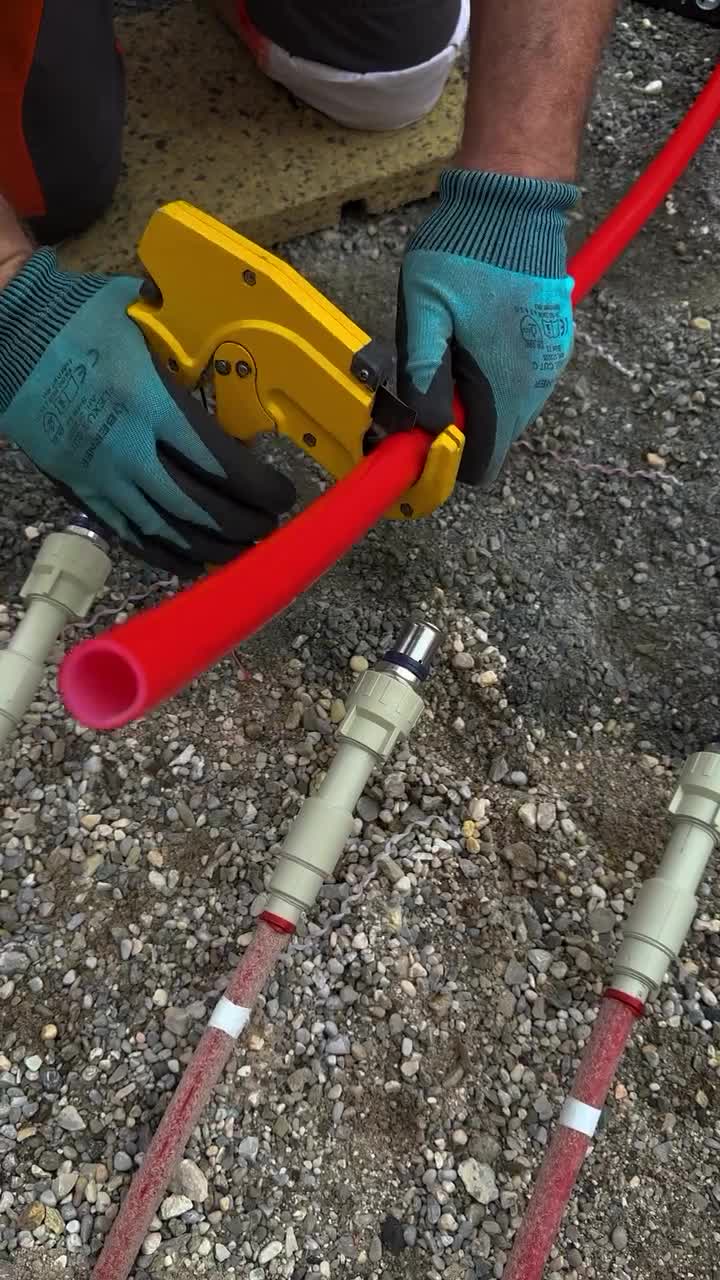   لحظاتی از بازسازی چمن ورزشگاه سالزبورگ