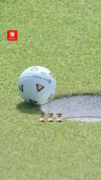   مگسی که گلف‌باز انگلیسی را پولدار کرد