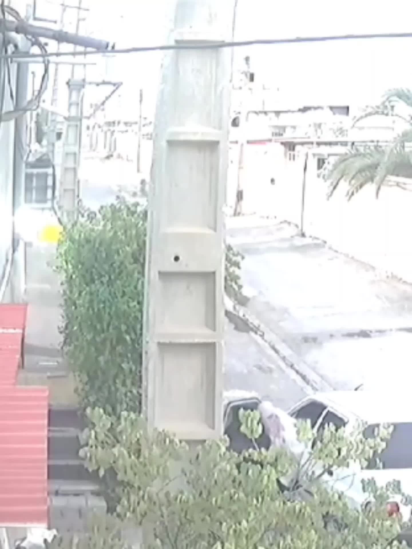   دزدی که در بوشهر به لامپ‌ها هم رحم نمی‌کند!