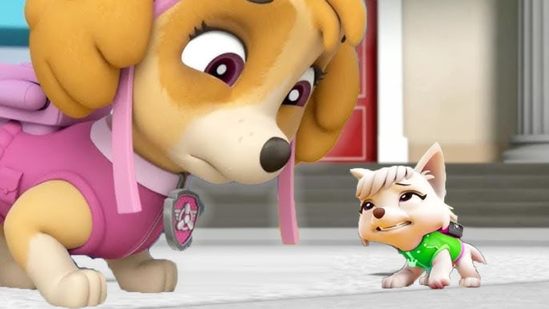 برنامه کودک سگهای نگهبان., سگ های نگهبان جدید.، کارتون سگ های نگهبان دوبله فارسی