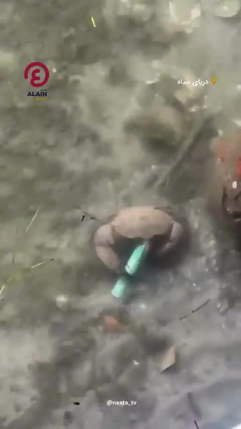   تلاش بامزه یک خرچنگ دریایی برای گرفتن یک ویپ یک‌بار مصرف!