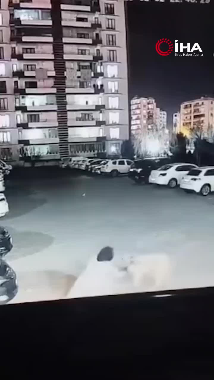   فریادهای بی‌امان زن جوان برای نجات فرزندش از حمله سگ!