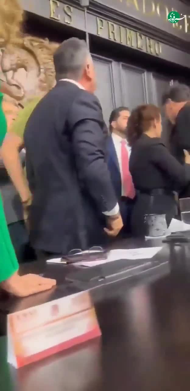   درگیری فیزیکی در سنای مکزیک؛ رهبر اپوزیسیون با رئیس سنا درگیر شد