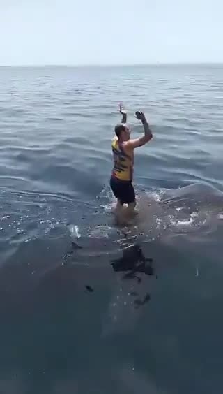  نهنگ‌سواری بچه‌های آبادان در خلیج فارس!