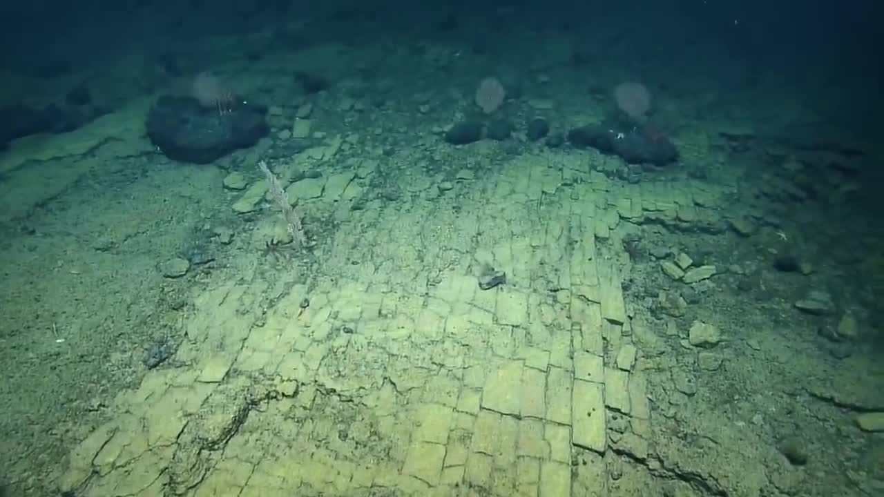   کشف یک جاده آجری در عمق ۳هزار متری اقیانوس