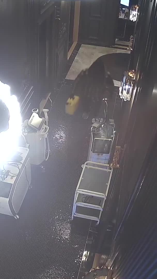   تصاویر دوربین‌های مدار بسته از تلاش مرد جوان برای آتش زدن سالن زیبایی در بورود؛ حمله با مواد آتش‌زا و تبر