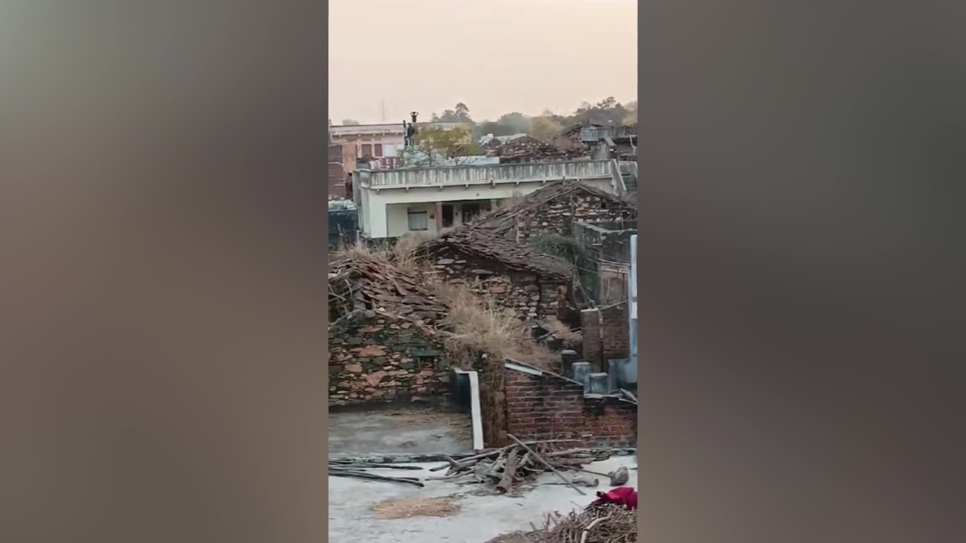   حمله پلنگ خشمگین به روستاییان در راجستان