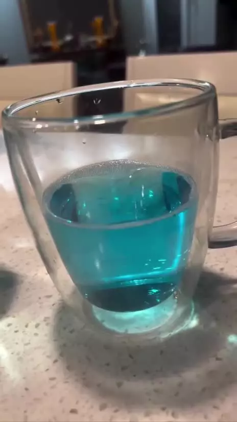   تعجب گوهر خیراندیش از آبی شدن آب تهران!