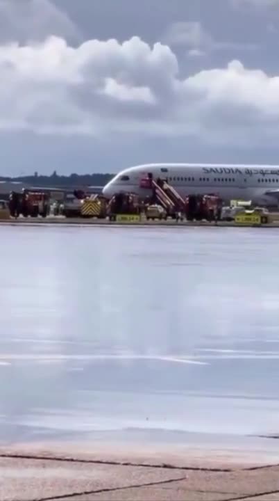   مسافر عربستانی سرسره اضطراری هواپیما را فعال کرد