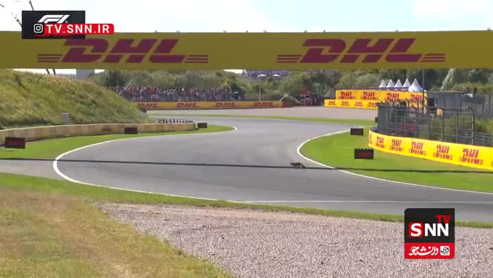   حضور روباه مکار در مسابقات فرمول یک