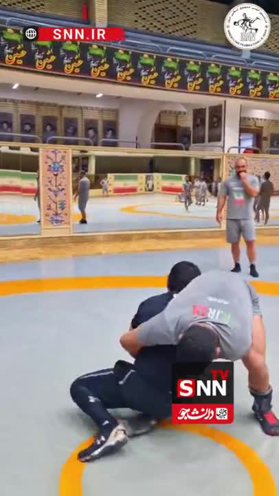   مرور فن علیرضا دبیر یا کامران قاسمپور