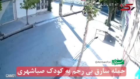 ببینید| فیلم حمله سارقان بی رحم به یک کودک خردسال در صباشهر | 15 مرداد 1404