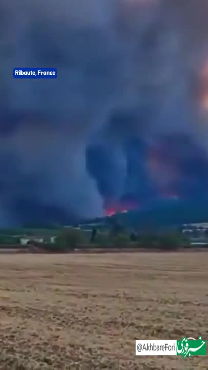   یک کشته و ۹ مجروح بر اثر آتش‌سوزی‌های جنگلی و موج گرما در جنوب اروپا