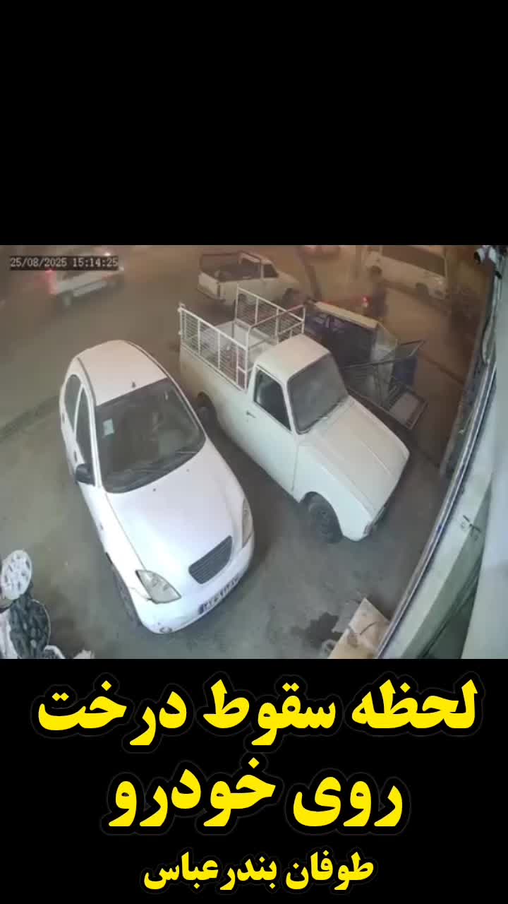   لحظه سقوط درخت روی خودروی سواری بر اثر طوفان شن بندرعباس