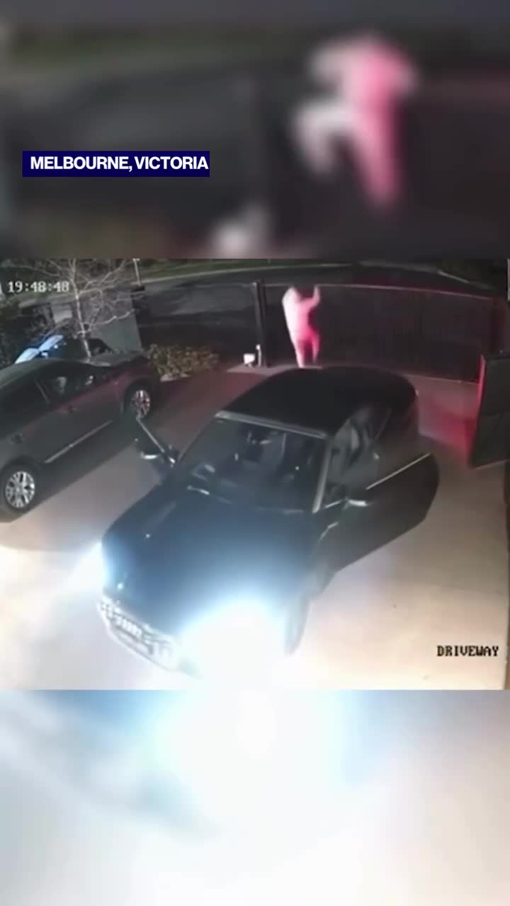   تکنیک عجیب یک کرد برای فراری دادن سارقین خودرو؛ پارس کردن مثل سگ!